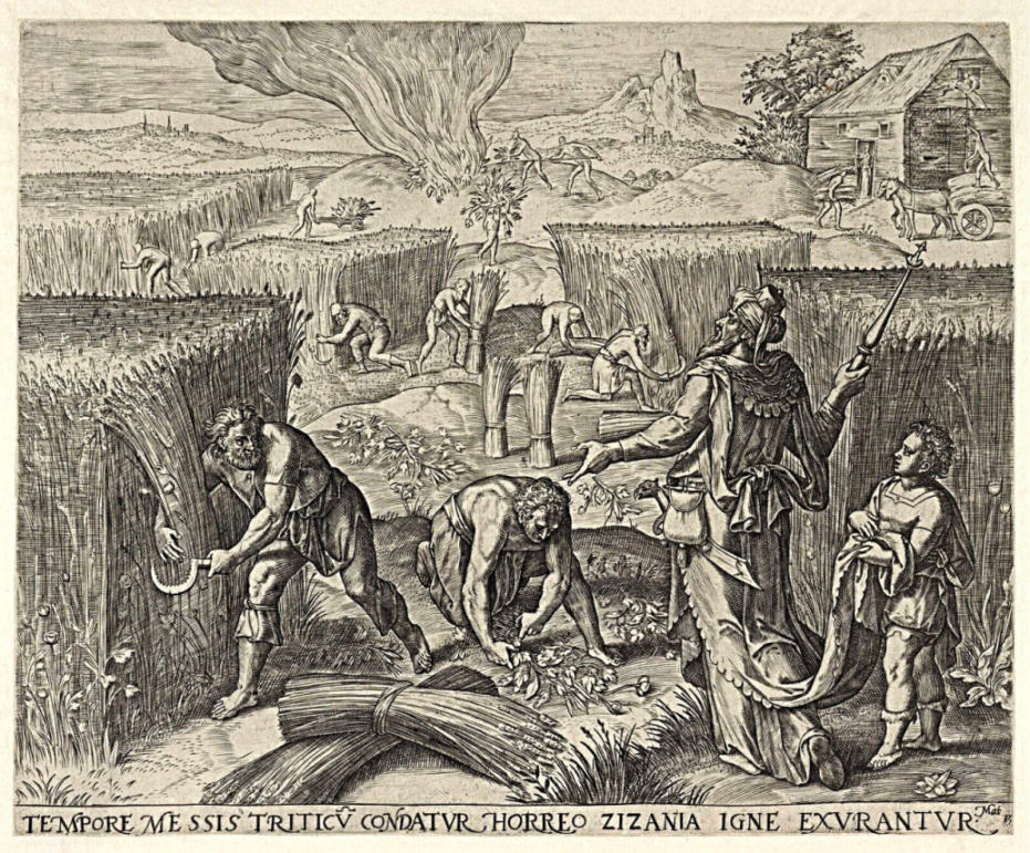 Gevolgen van bolderikvergiftiging