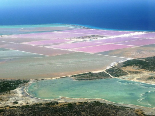 Zoutpannen van Bonaire