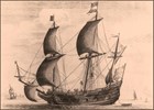 Gemeene (normale) fluit