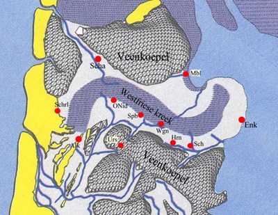 Veenkussens